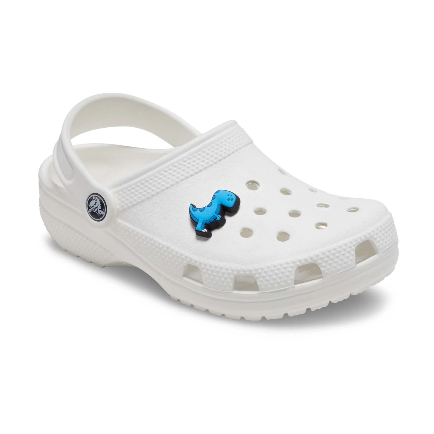 Boys Rule Blue Dino Unisex Jibbitz