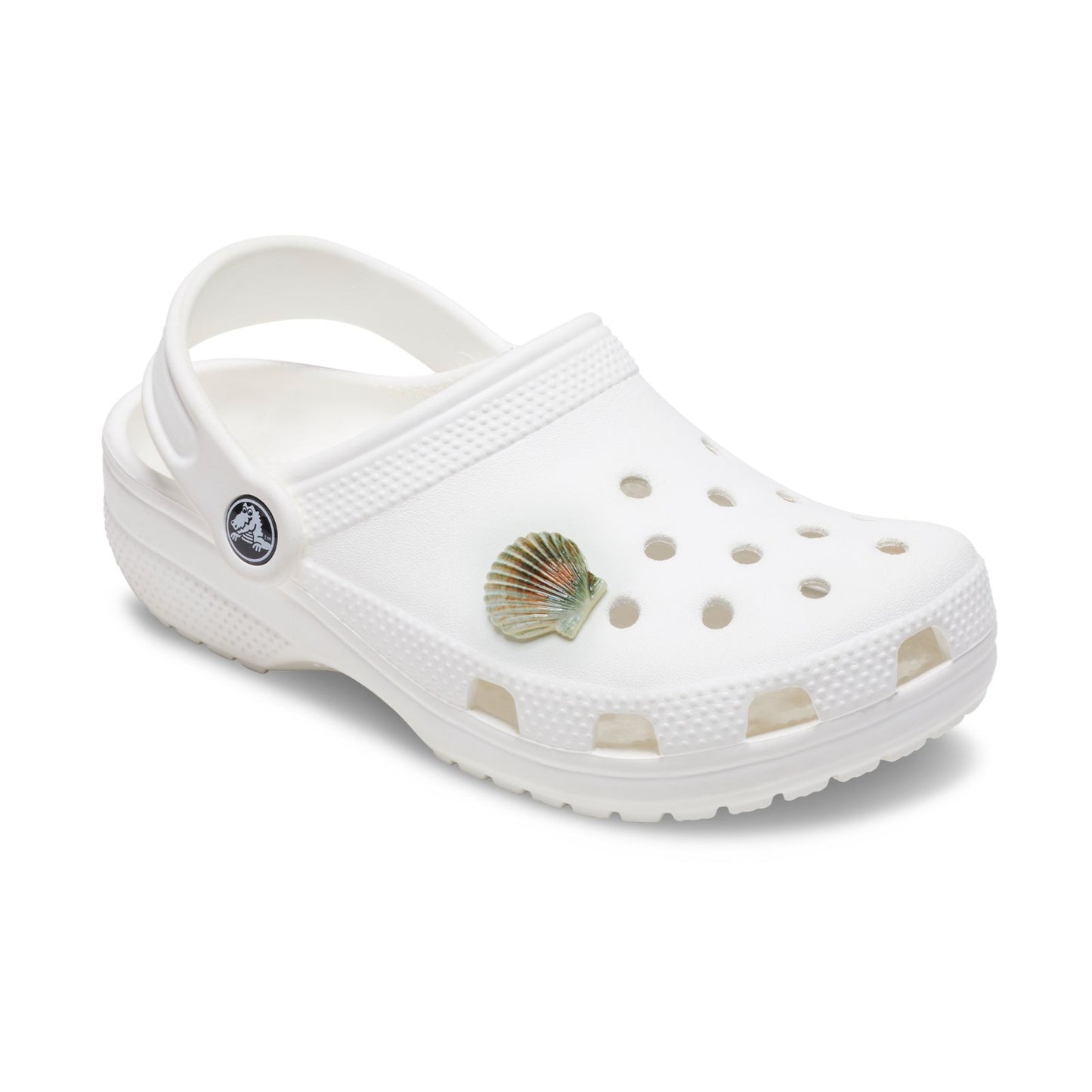 Jibbitz Natural Seashell