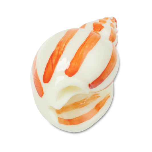 Jibbitz Natural Conch Shell Unisex Multi