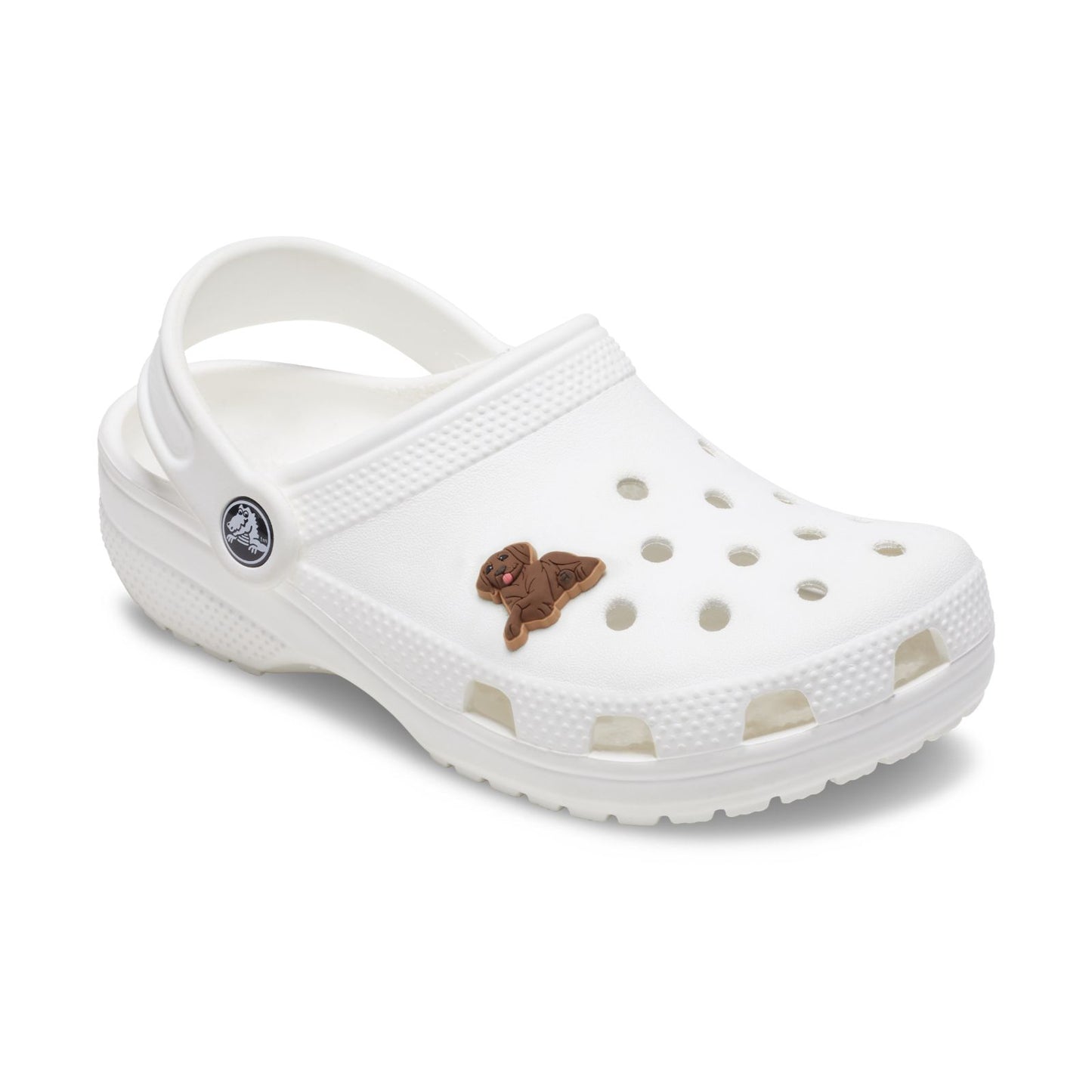 Brown Lab Puppy Unisex Multi Jibbitz