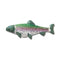 Trout Fish Multi Unisex Jibbitz