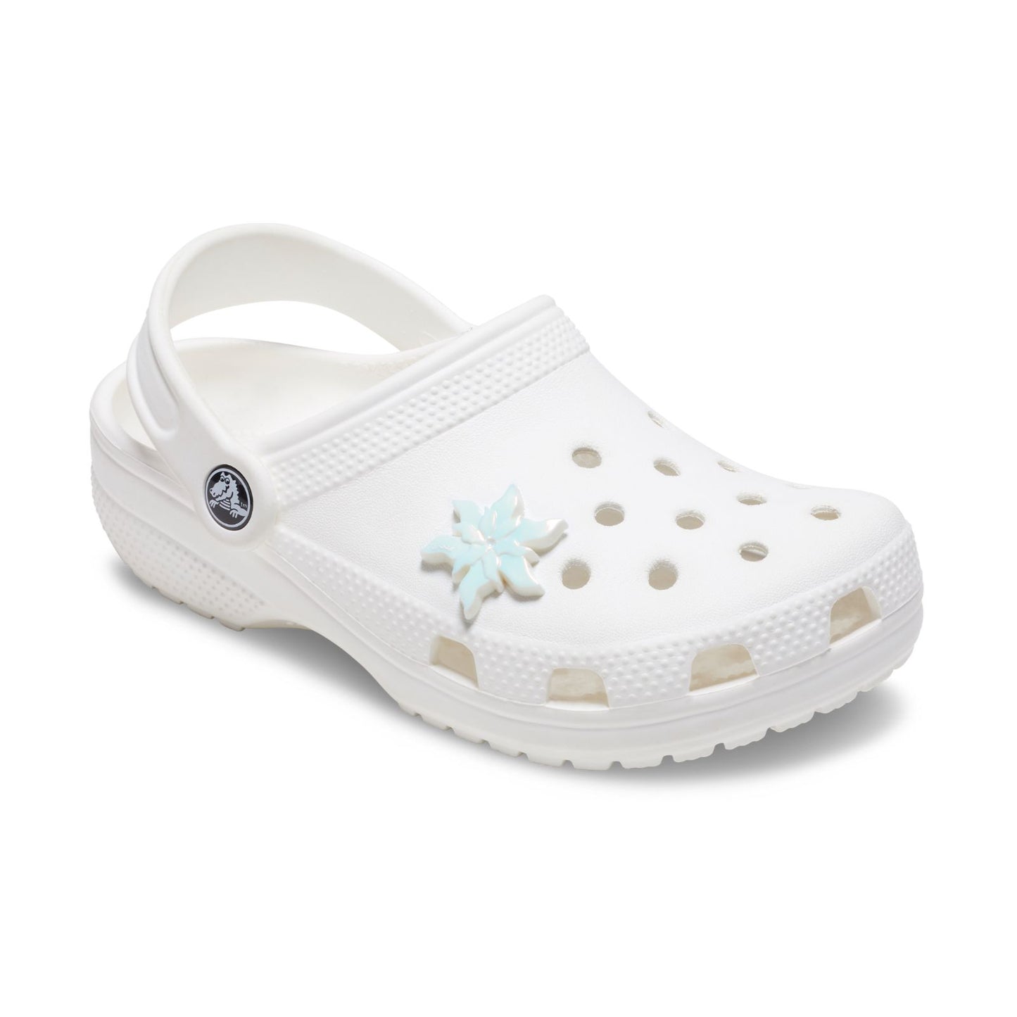 Iridescent Magical Flower Unisex Multi Jibbitz