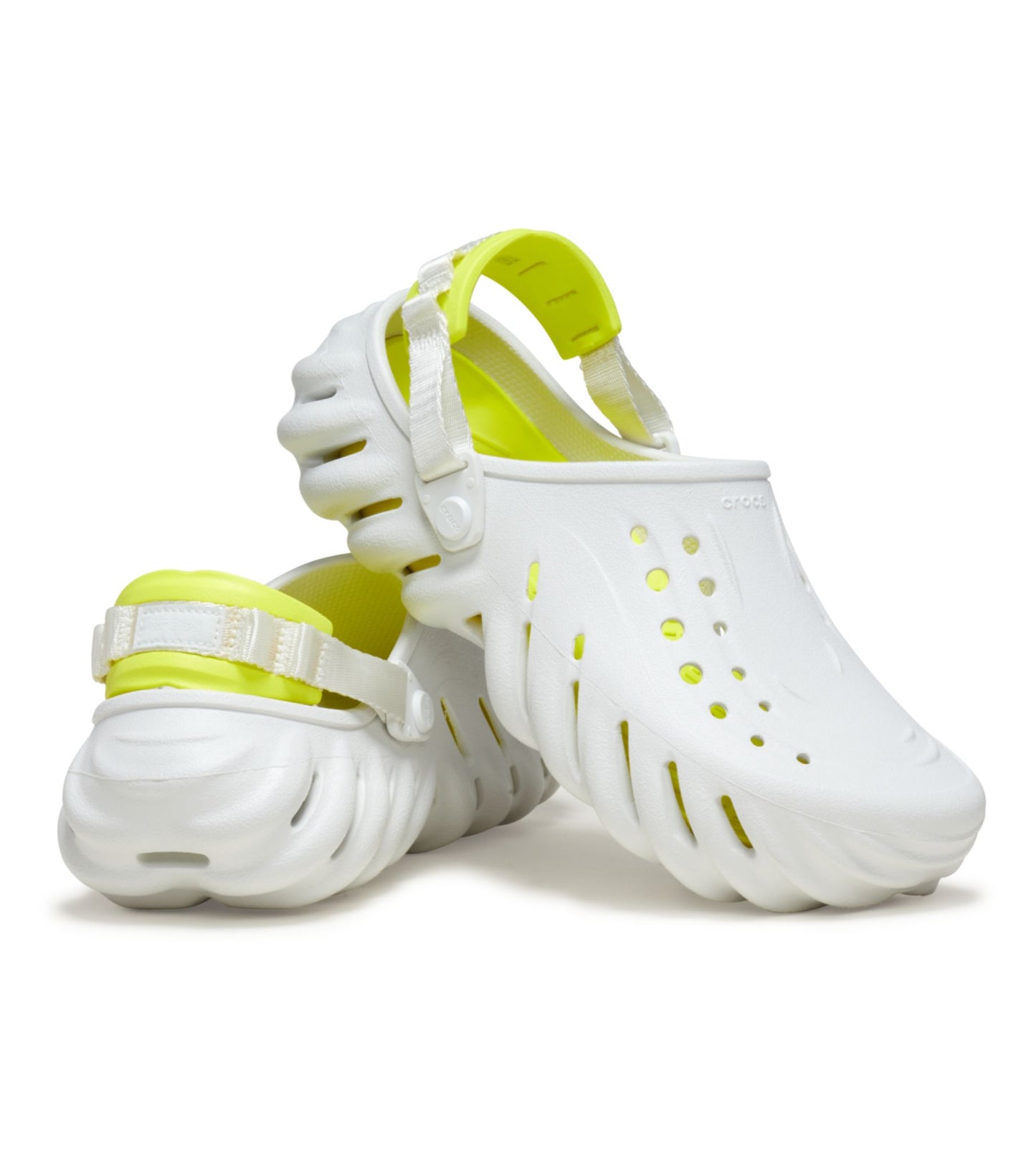 Echo Clog
